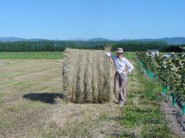 16 January 2005 - those bales are bigger than they look!