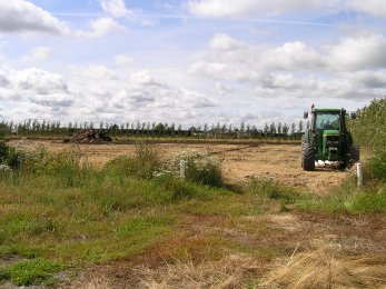 3 February 2007 - first cultivation